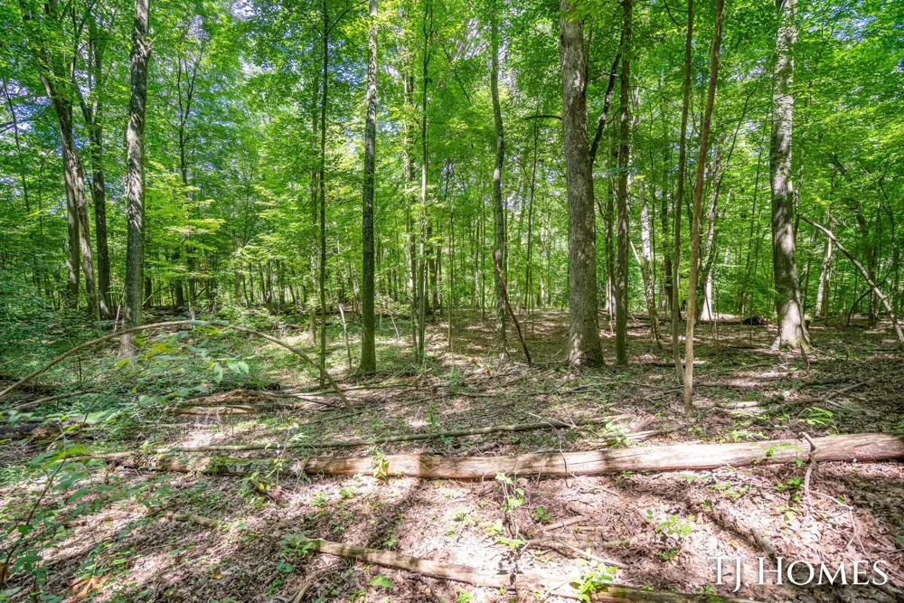 8289 52nd Street SE Alto, MI 49302