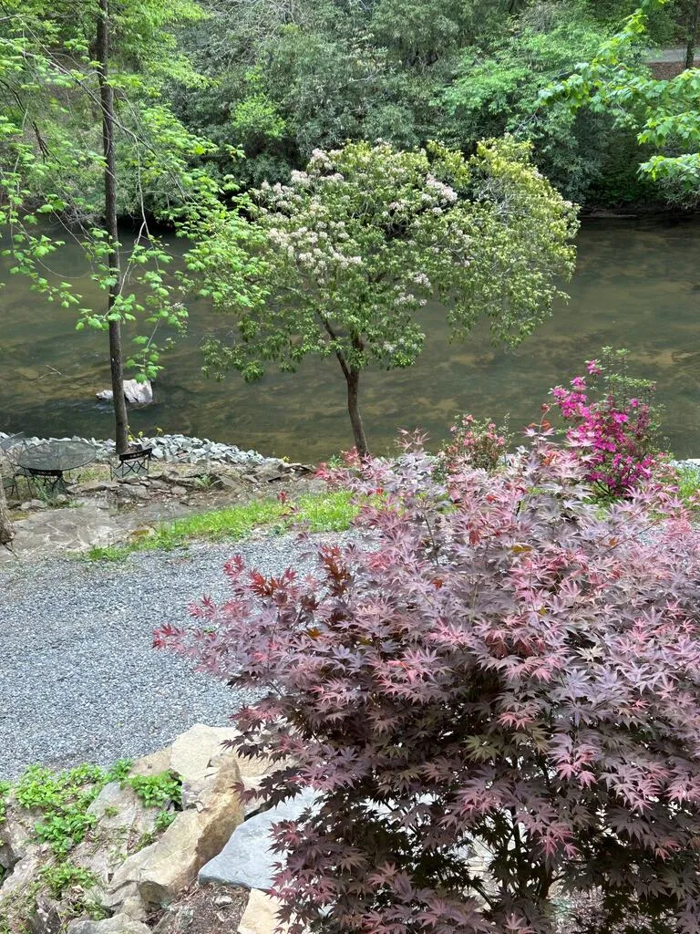 46 Private Drive Ellijay, GA 30536