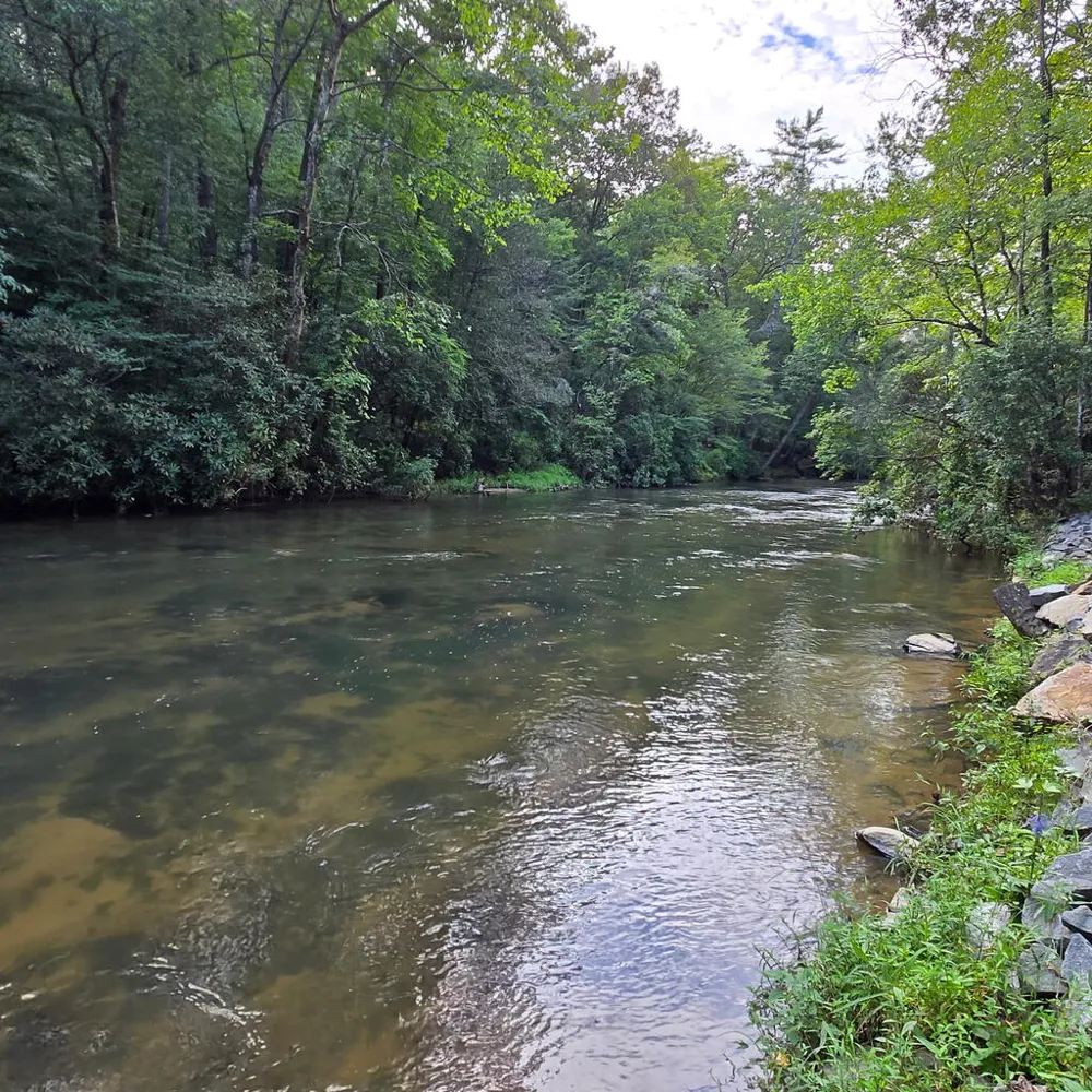 46 Private Drive Ellijay, GA 30536