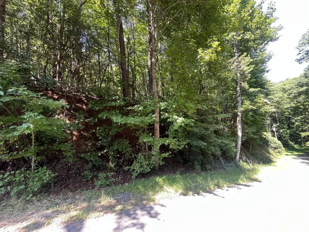 P 10 Gold Mine Drive Ellijay, GA 30536
