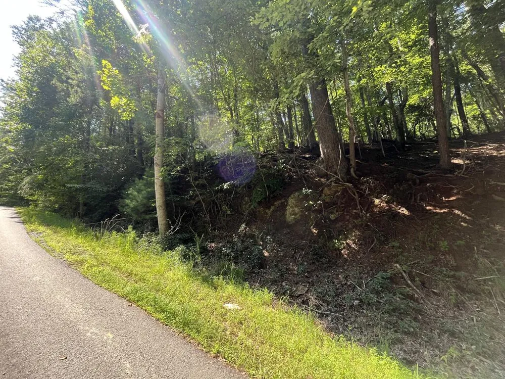 P 10 Gold Mine Drive Ellijay, GA 30536