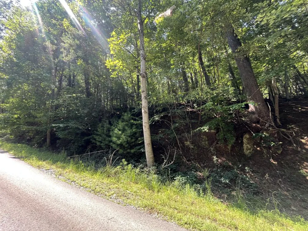 P 10 Gold Mine Drive Ellijay, GA 30536