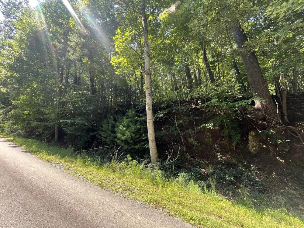 P 10 Gold Mine Drive Ellijay, GA 30536