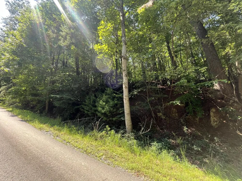 P 10 Gold Mine Drive Ellijay, GA 30536