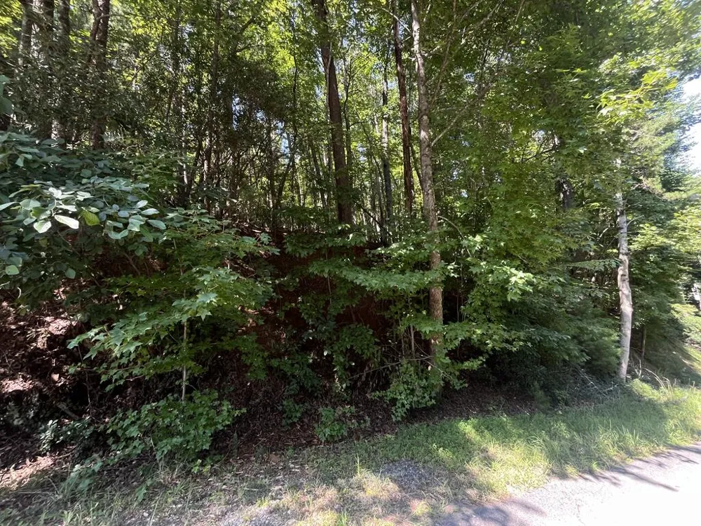P 10 Gold Mine Drive Ellijay, GA 30536