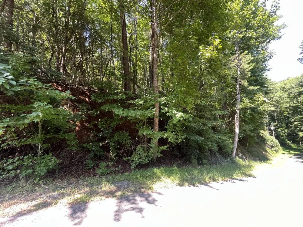 P 10 Gold Mine Drive Ellijay, GA 30536