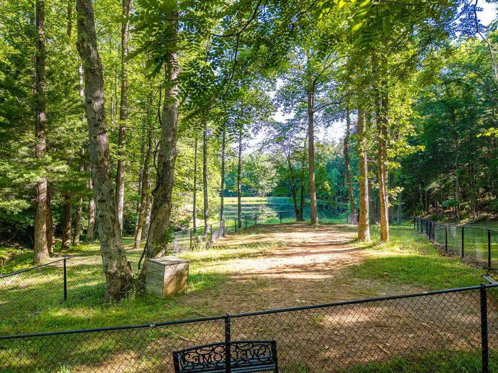 P 10 Gold Mine Drive Ellijay, GA 30536