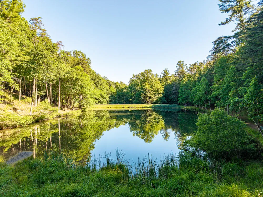 P 10 Gold Mine Drive Ellijay, GA 30536