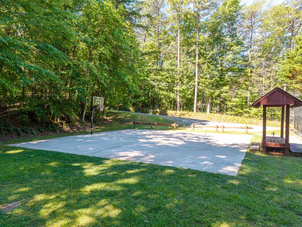 P 10 Gold Mine Drive Ellijay, GA 30536