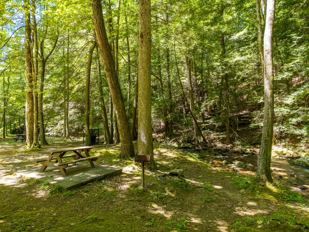 P 10 Gold Mine Drive Ellijay, GA 30536