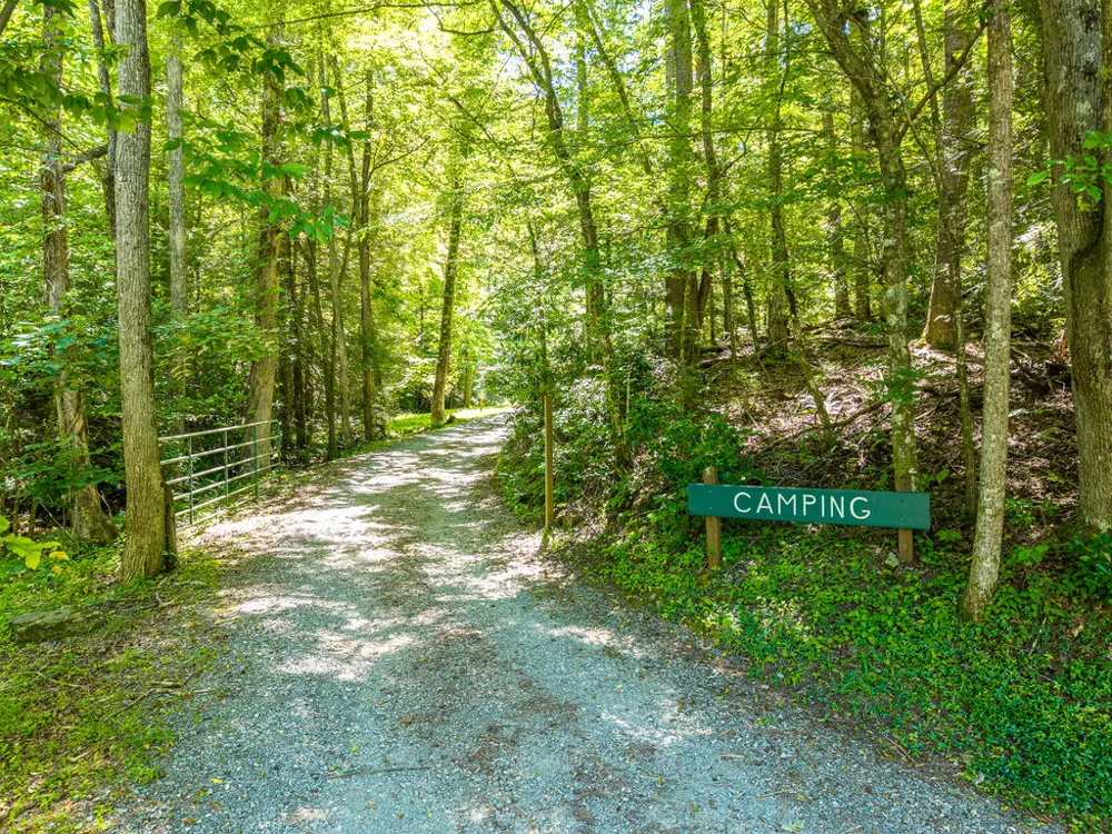 P 10 Gold Mine Drive Ellijay, GA 30536