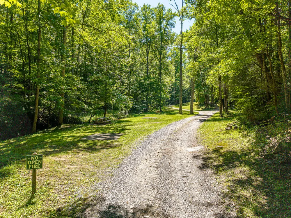 P 10 Gold Mine Drive Ellijay, GA 30536