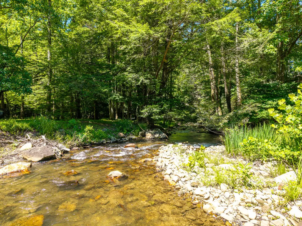 P 10 Gold Mine Drive Ellijay, GA 30536