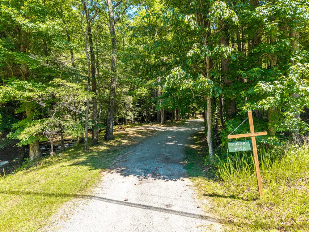 P 10 Gold Mine Drive Ellijay, GA 30536