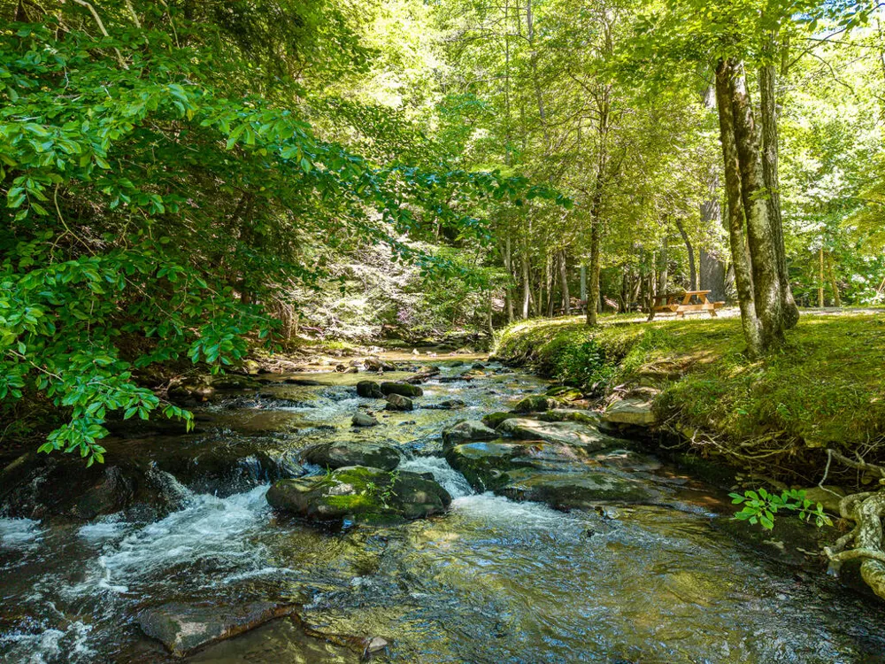 P 10 Gold Mine Drive Ellijay, GA 30536