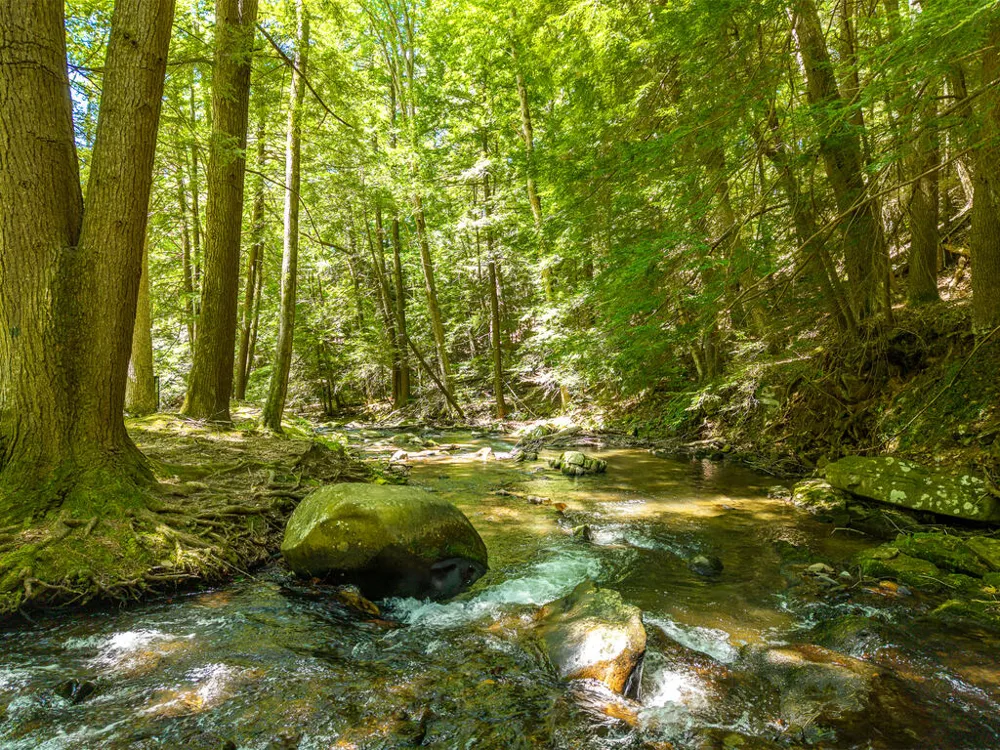 P 10 Gold Mine Drive Ellijay, GA 30536