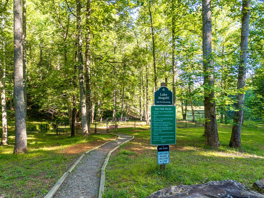 P 10 Gold Mine Drive Ellijay, GA 30536