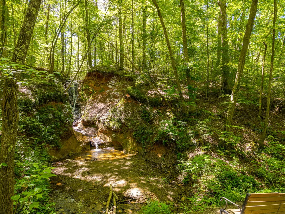 P 10 Gold Mine Drive Ellijay, GA 30536