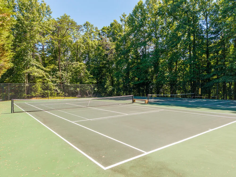 P 10 Gold Mine Drive Ellijay, GA 30536