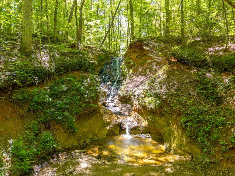 P 10 Gold Mine Drive Ellijay, GA 30536