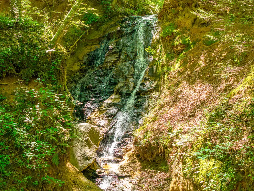 P 10 Gold Mine Drive Ellijay, GA 30536
