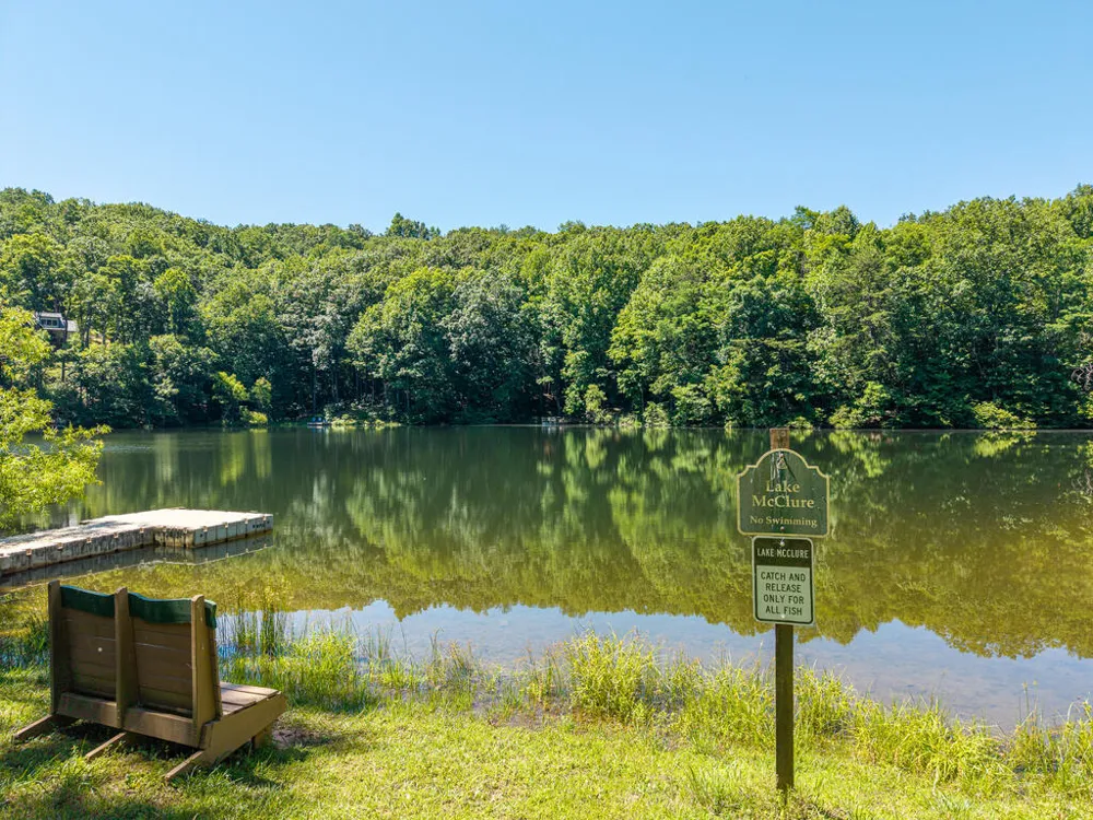 P 10 Gold Mine Drive Ellijay, GA 30536
