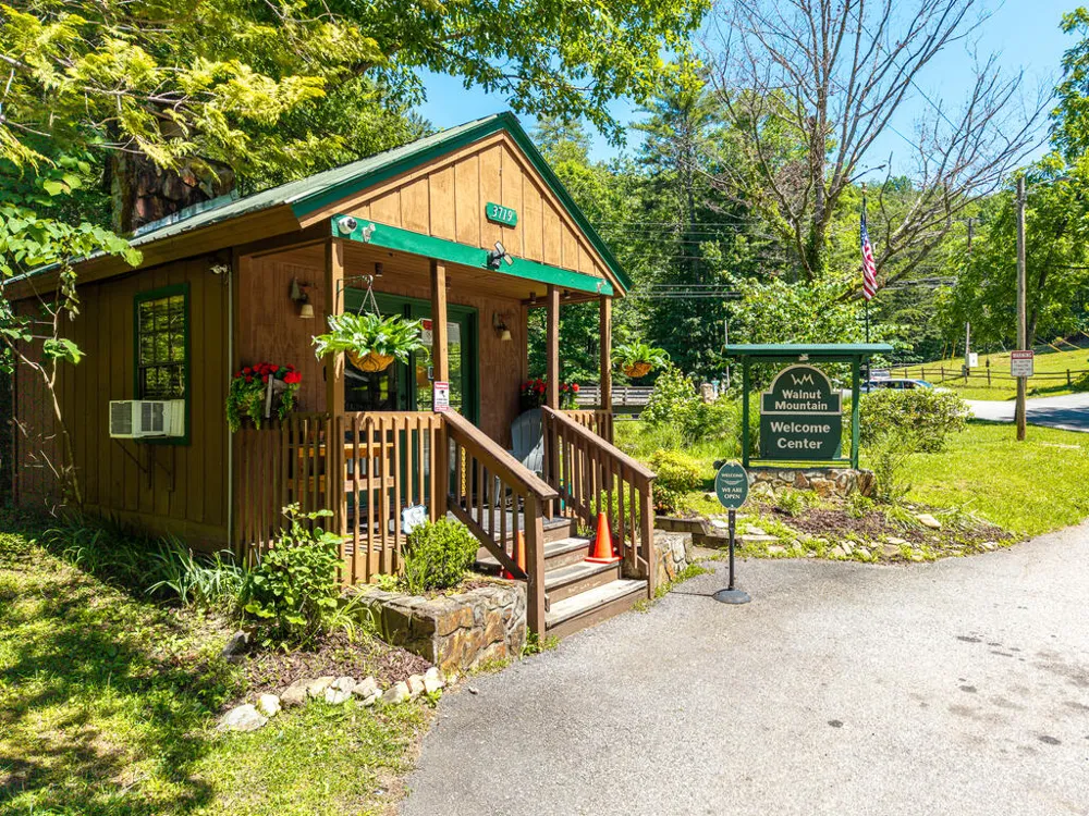 P 10 Gold Mine Drive Ellijay, GA 30536