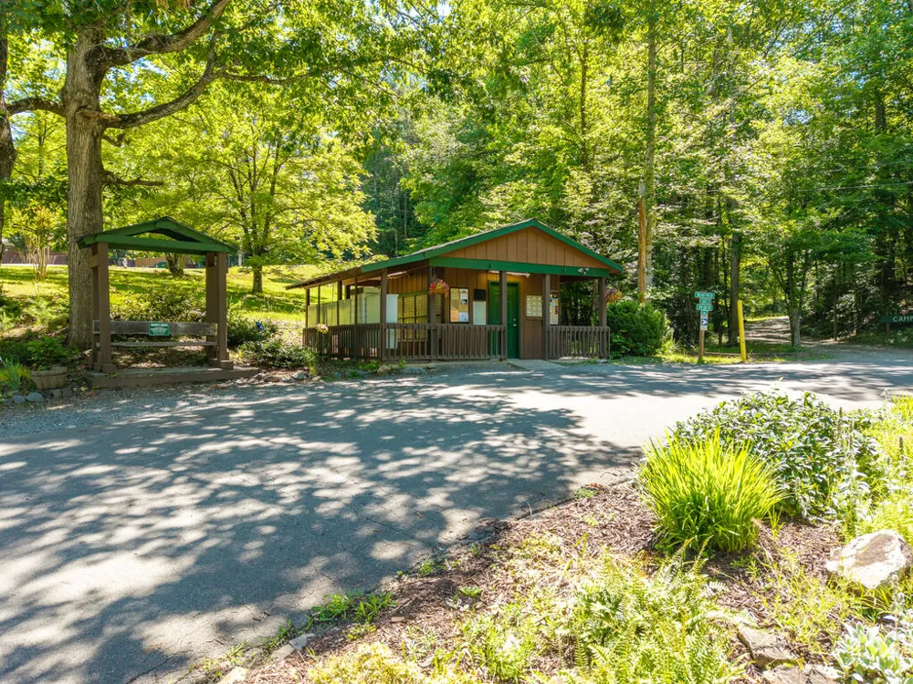 P 10 Gold Mine Drive Ellijay, GA 30536