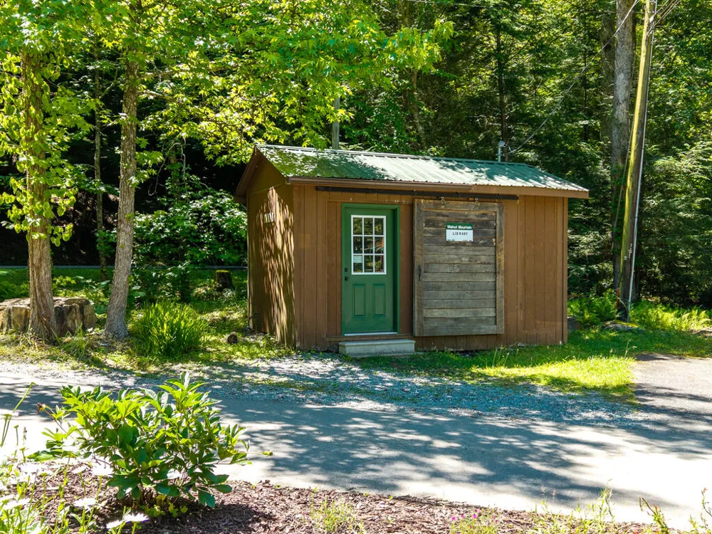 P 10 Gold Mine Drive Ellijay, GA 30536