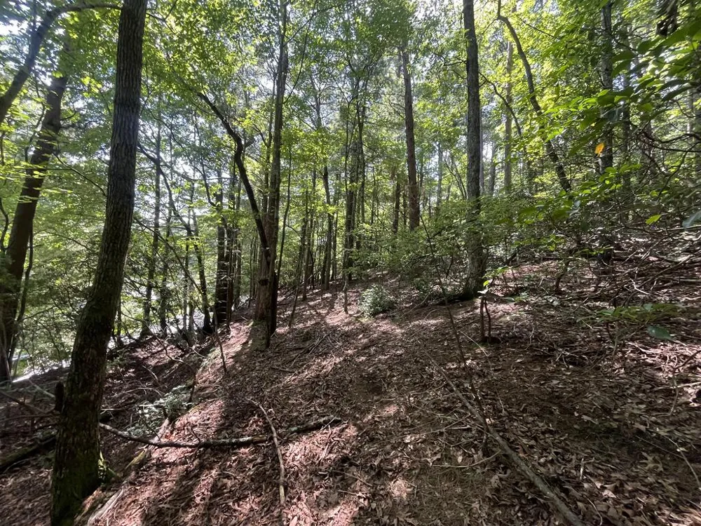 P 10 Gold Mine Drive Ellijay, GA 30536