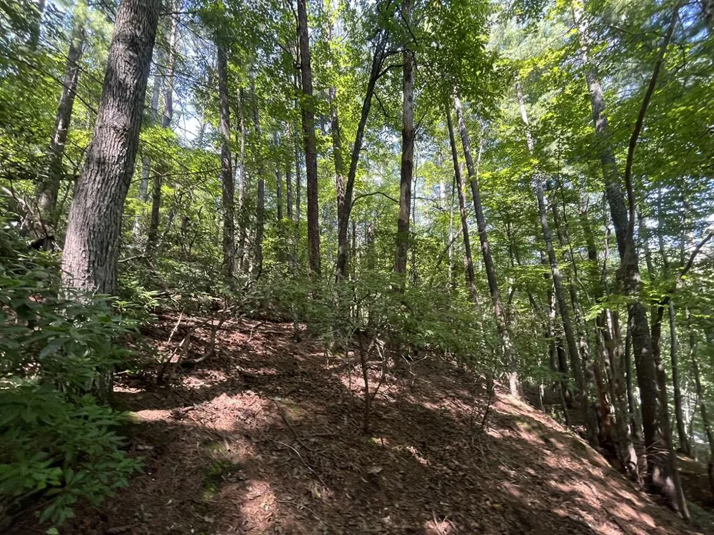 P 10 Gold Mine Drive Ellijay, GA 30536