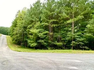 425 Cross Creek Trail South Pittsburg, TN 37380