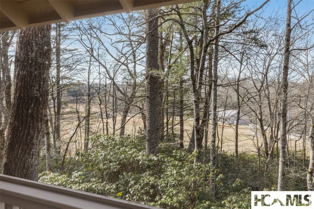55 Wood Lily Way Highlands, NC 28741