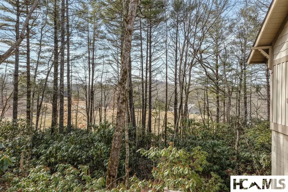 55 Wood Lily Way Highlands, NC 28741