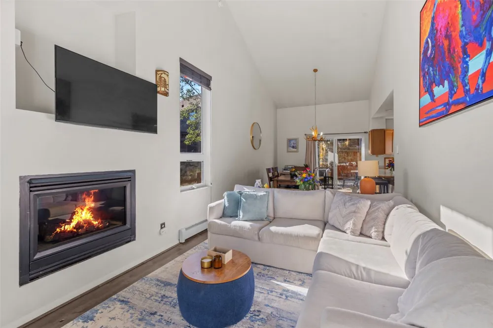 422 W Coyote Drive Silverthorne, CO 80498