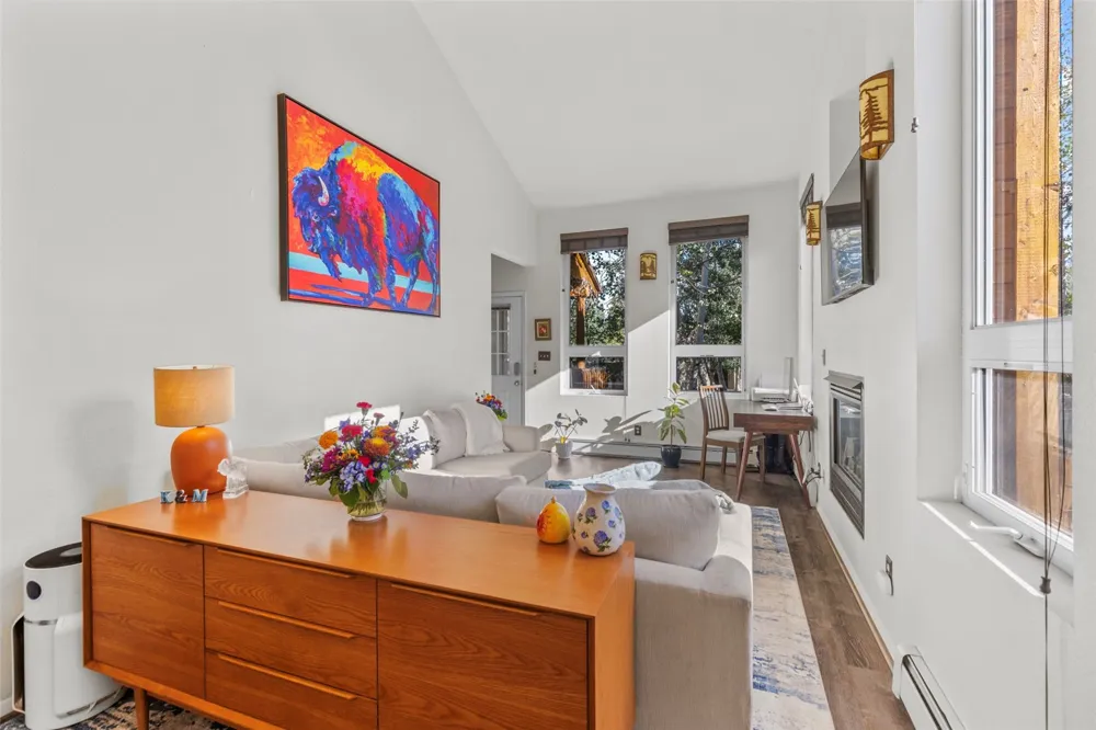 422 W Coyote Drive Silverthorne, CO 80498
