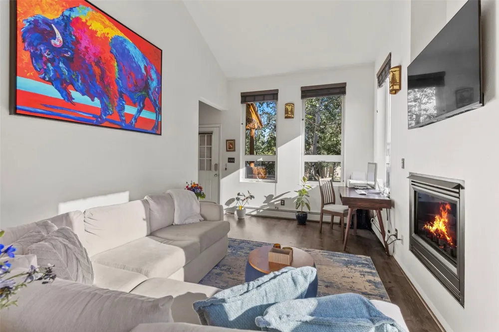 422 W Coyote Drive Silverthorne, CO 80498