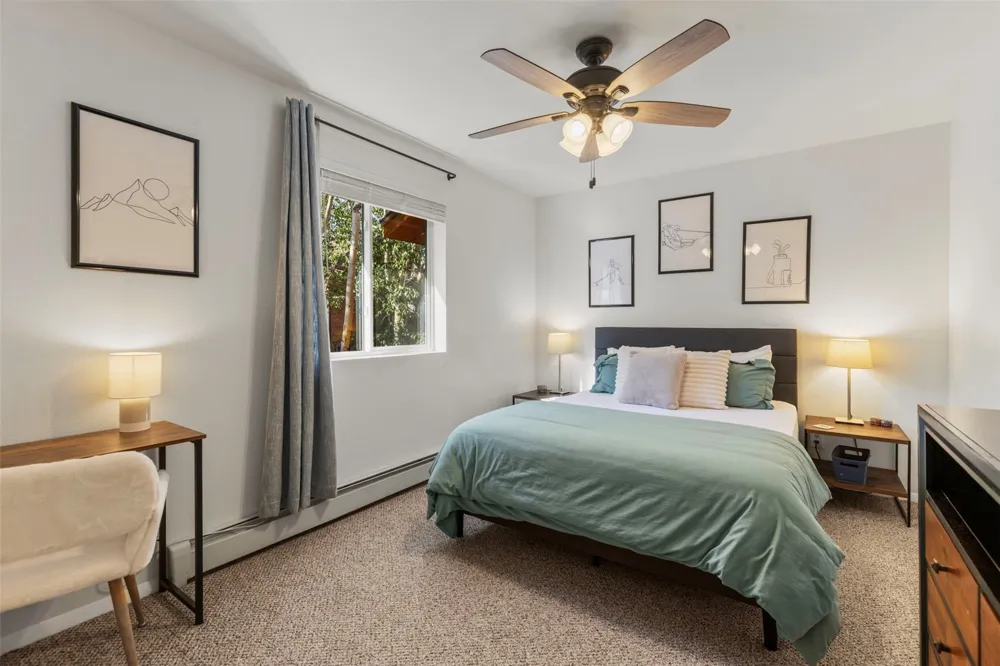 422 W Coyote Drive Silverthorne, CO 80498