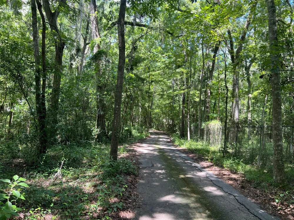 3892 NW 44TH AVENUE Gainesville, FL 32606