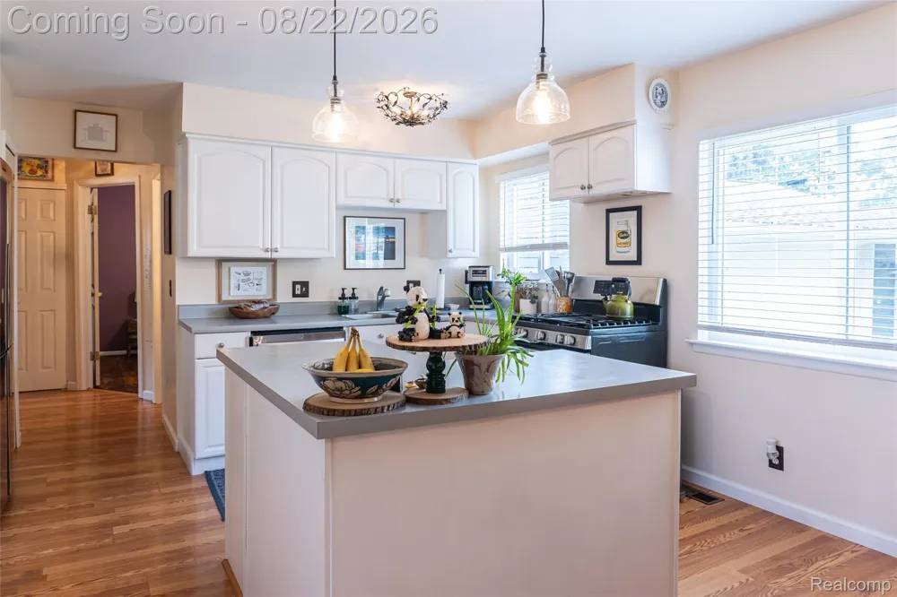 250 Wallace Drive Saline City, MI 48176