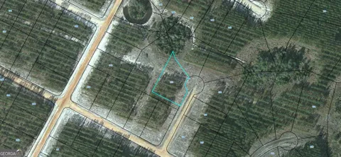 LOT 133 Satilla Plantation
