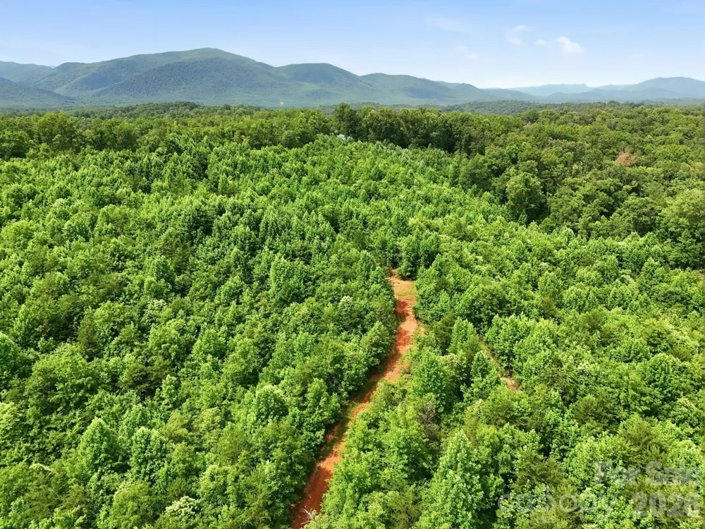 2873 Parker Padgett Road Old Fort, NC 28762