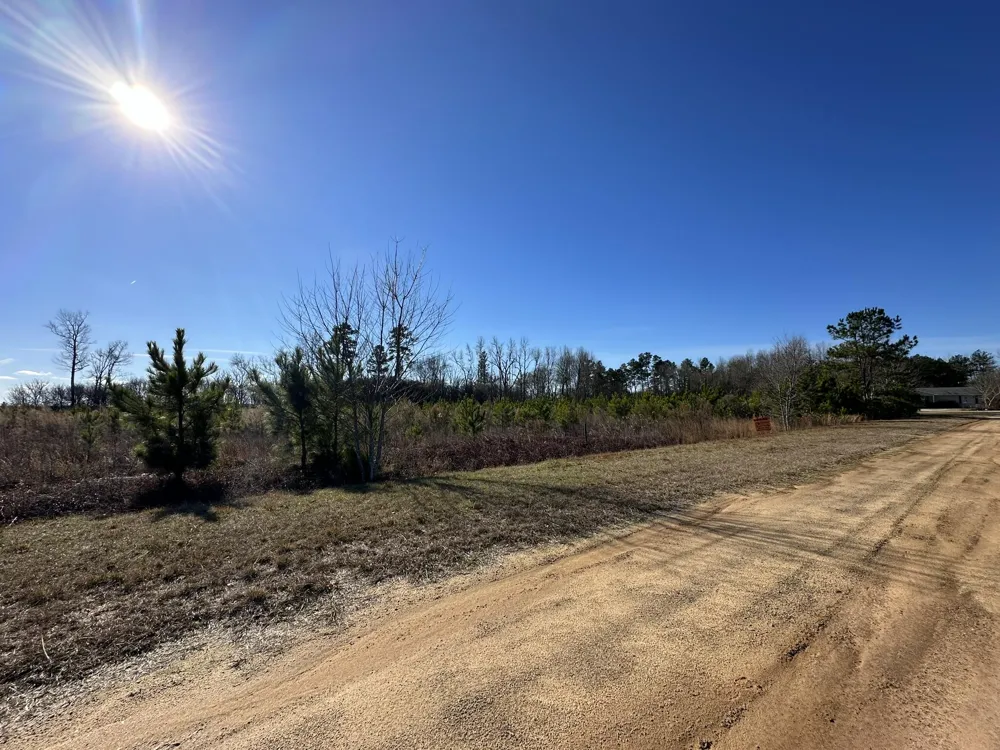 Lot 6 Triangle Road Louisville, GA 30434