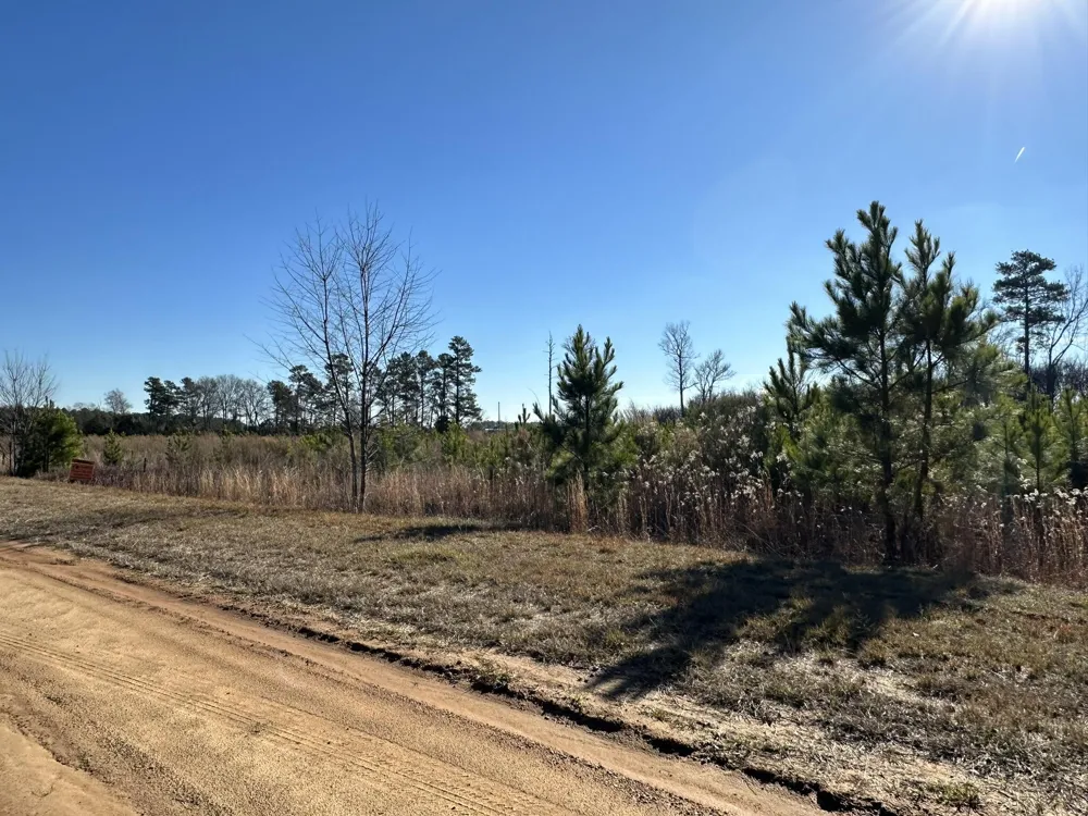 Lot 6 Triangle Road Louisville, GA 30434