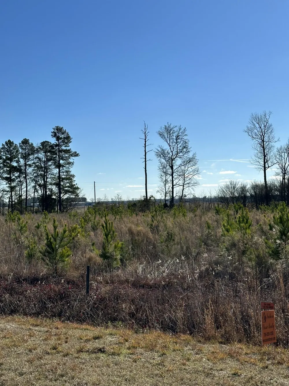 Lot 6 Triangle Road Louisville, GA 30434