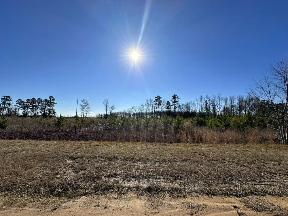 Lot 6 Triangle Road Louisville, GA 30434