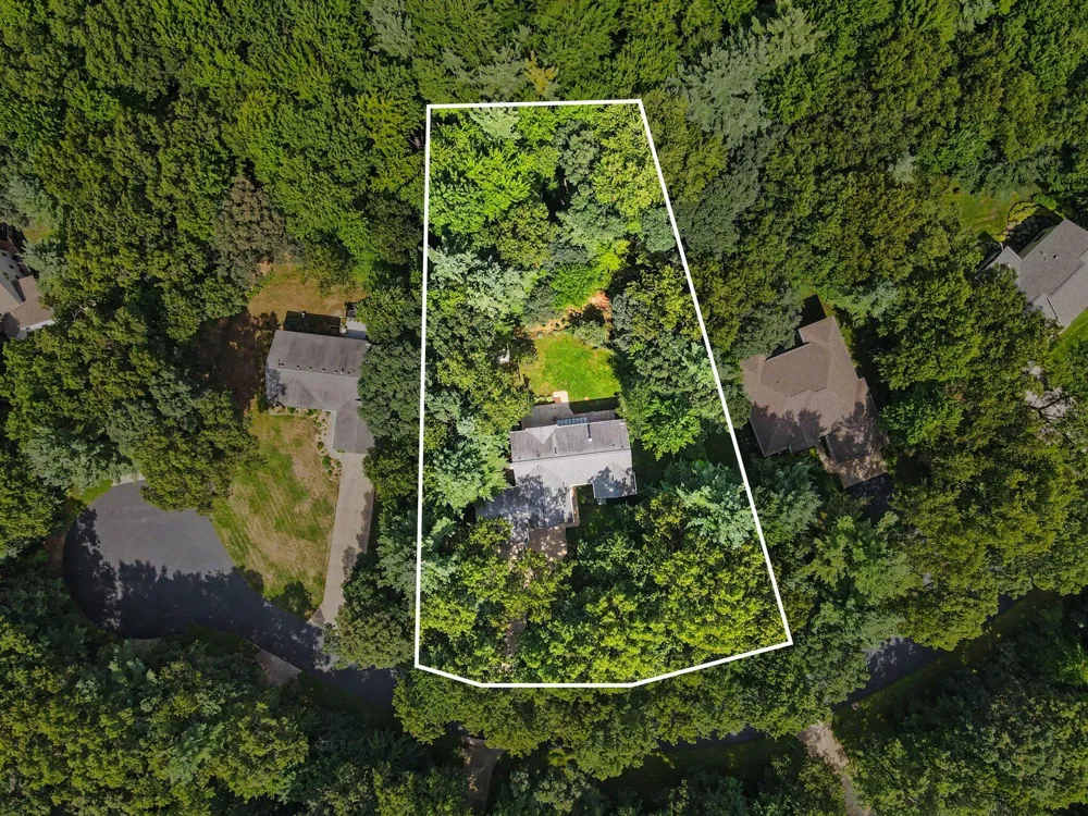13271 Twin Creek Lane NE Oakfield Township, MI 48838