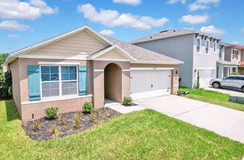 1274 IGUANA LOOP