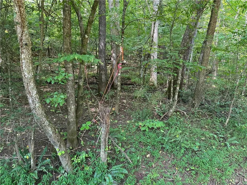 5, 10 Riverview Dr and Pine Trail Dahlonega, GA 30533