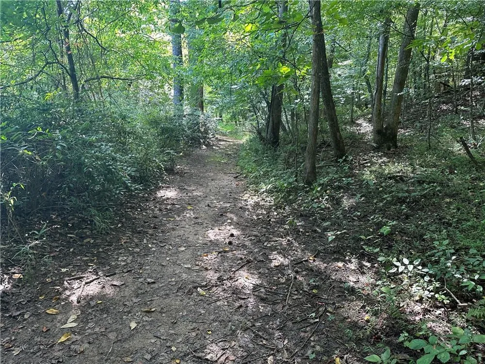 5, 10 Riverview Dr and Pine Trail Dahlonega, GA 30533